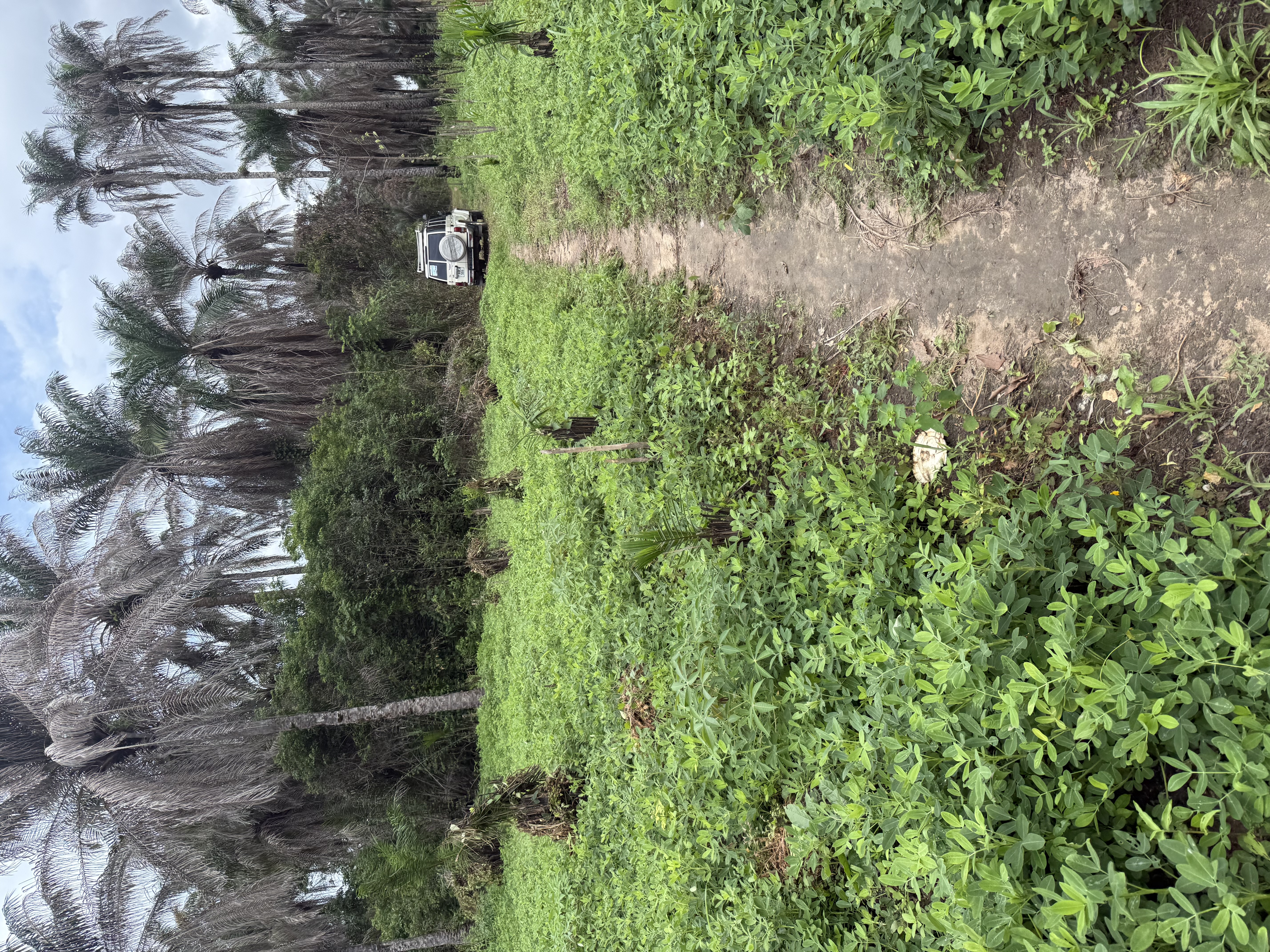 Njalowei compound